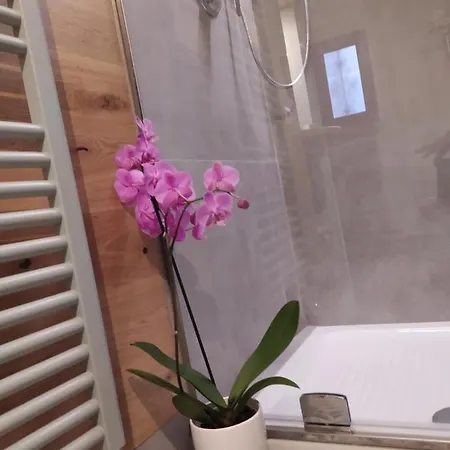 Samgiuvino Casa vacanze Brienno