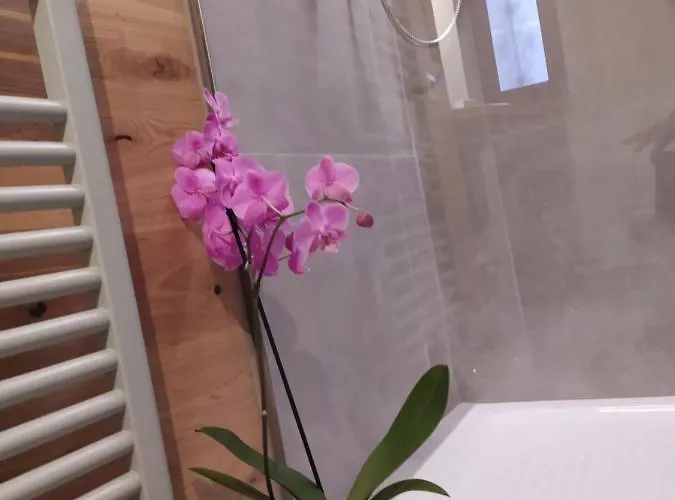 Samgiuvino 펜션 Brienno